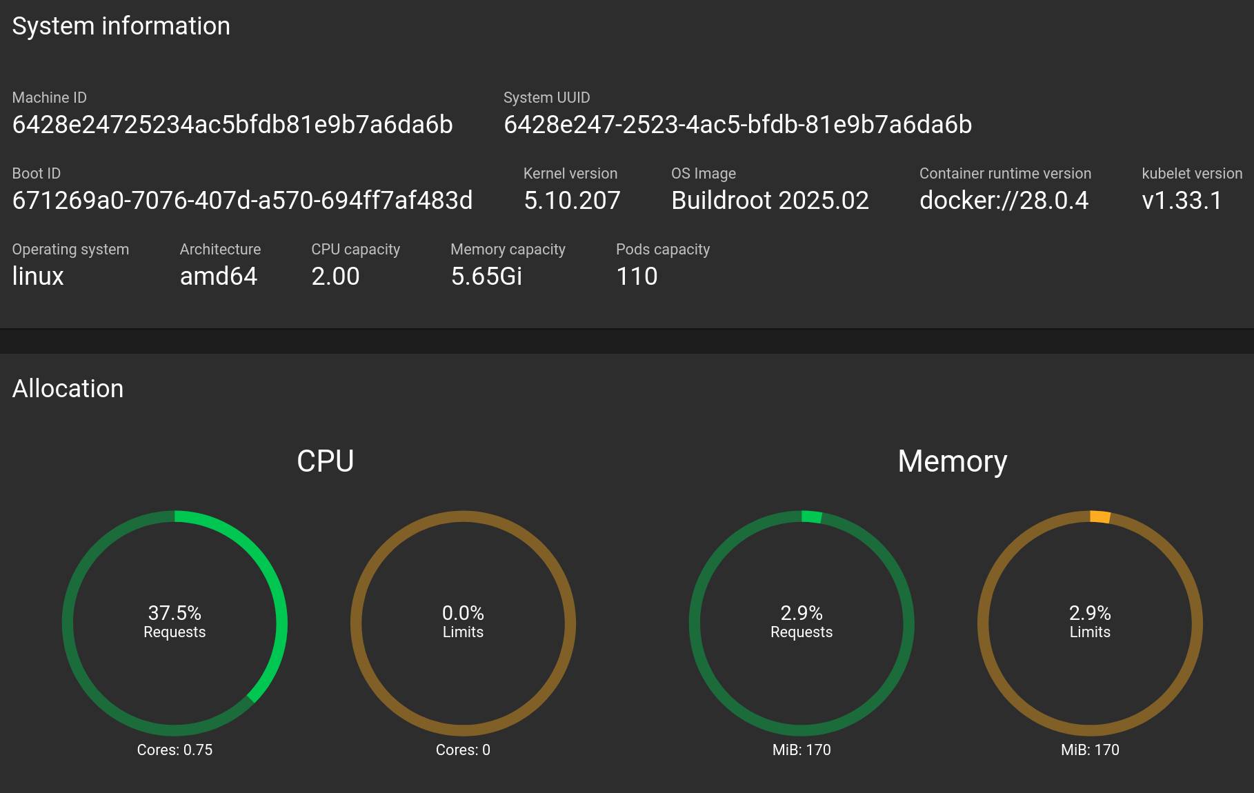 minikube cluster information in the dashboard (Cluster > Nodes > minikube)